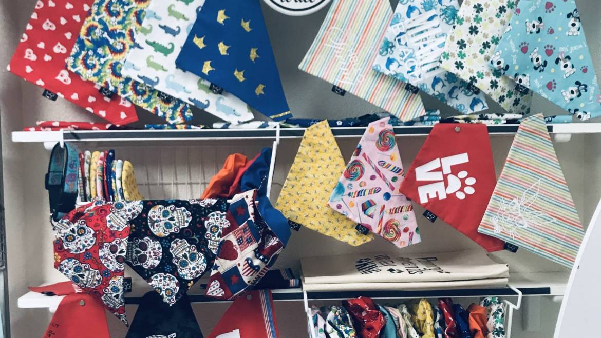 How to create a Paw Kingdom Wall